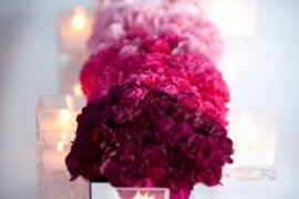 carnations