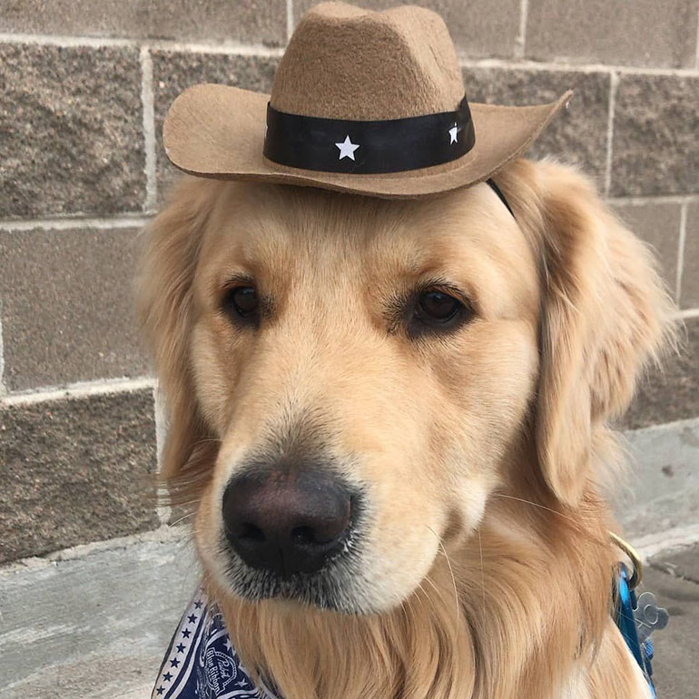 Country Wedding Ideas Bring Pets