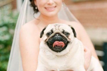 pets at weddings