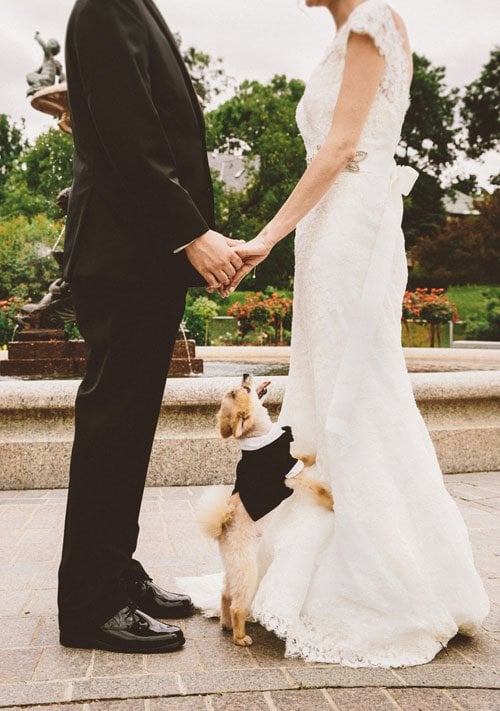 pets at weddings