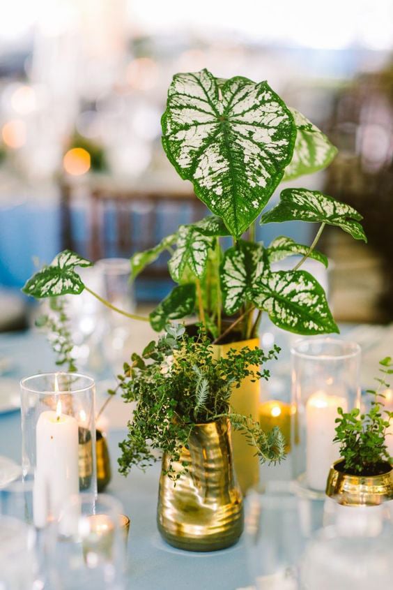 Flowerless Wedding Centerpieces Plant Leaves