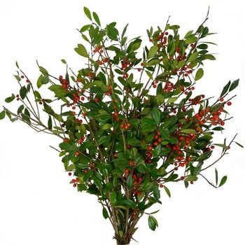 winter wedding flowers