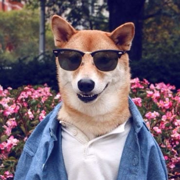 menswear dog