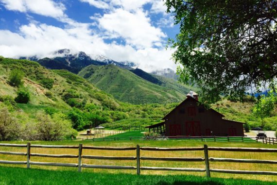 quiet meadow farm wedding
