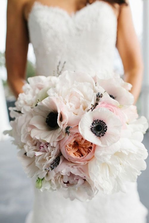 Our Favorite Ranunculus