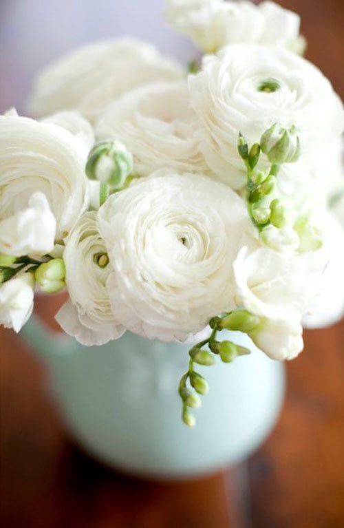 Our Favorite Ranunculus