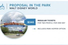 BEST WEDDING PROPOSALS