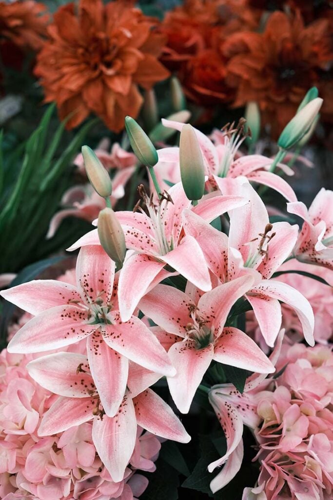 Spring Wedding Flowers Lilies