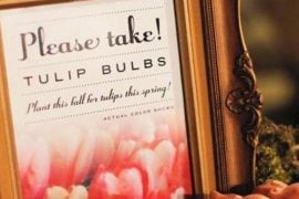 spring wedding ideas