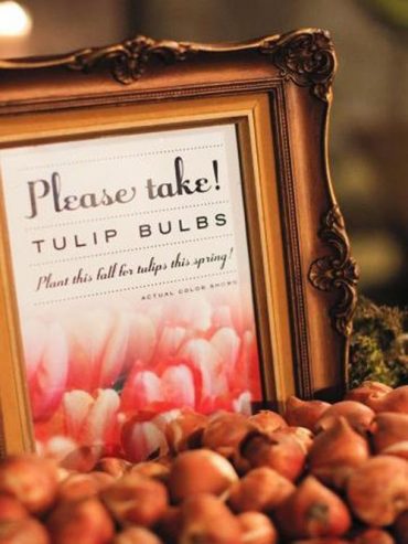 spring wedding ideas