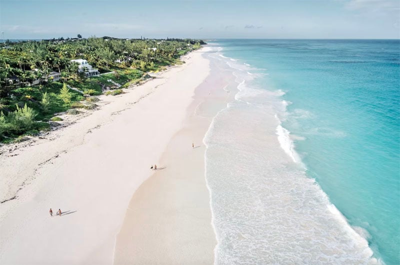 rosalita resort bahamas taylor and travis