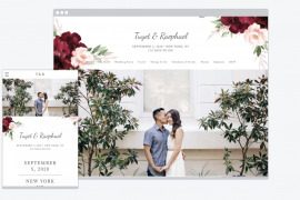 the knot wedding website