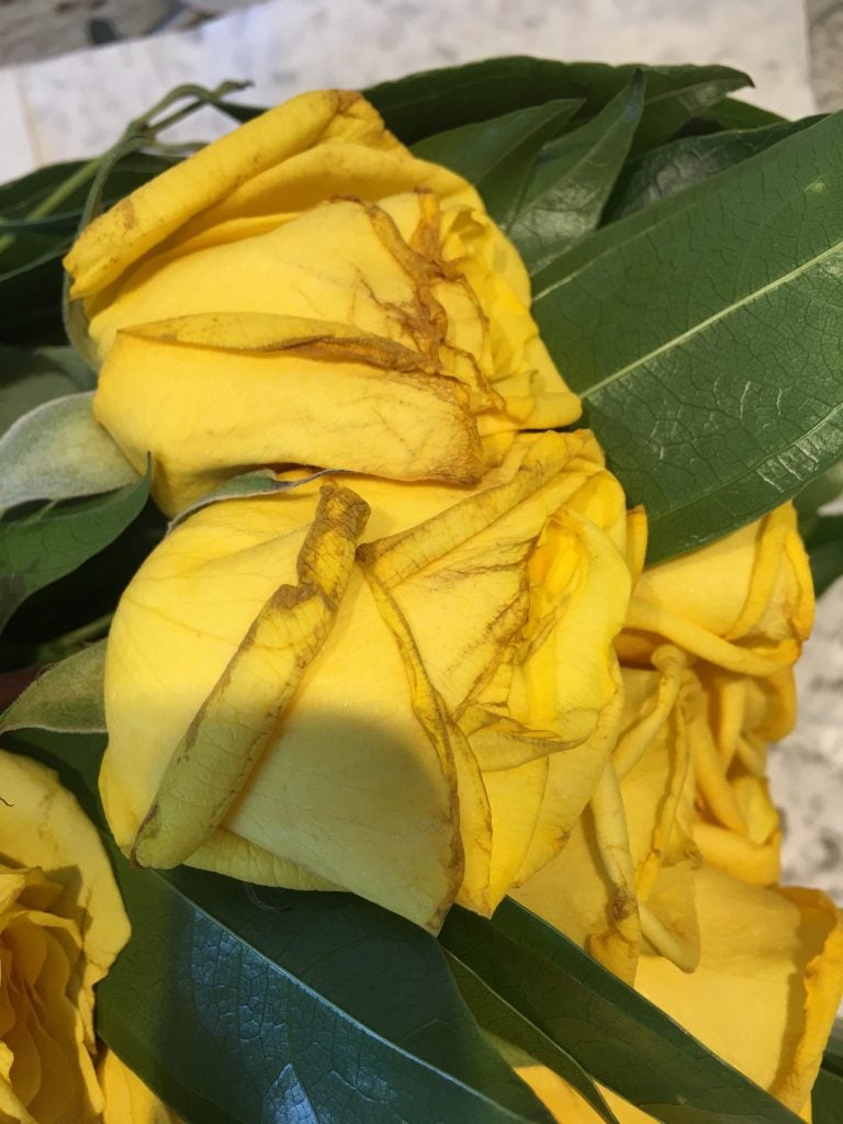 the problem with online flowers