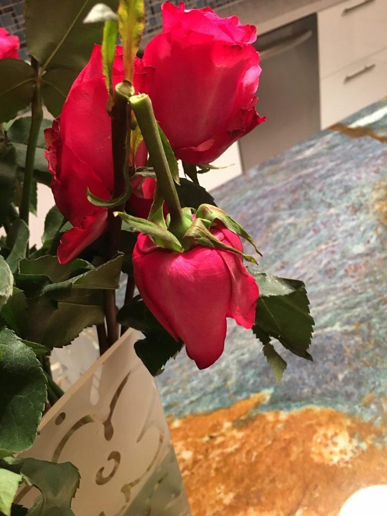 the problem with online flowers