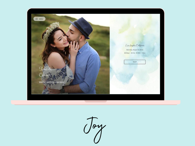 best wedding websites